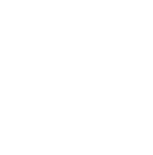 Seaborne